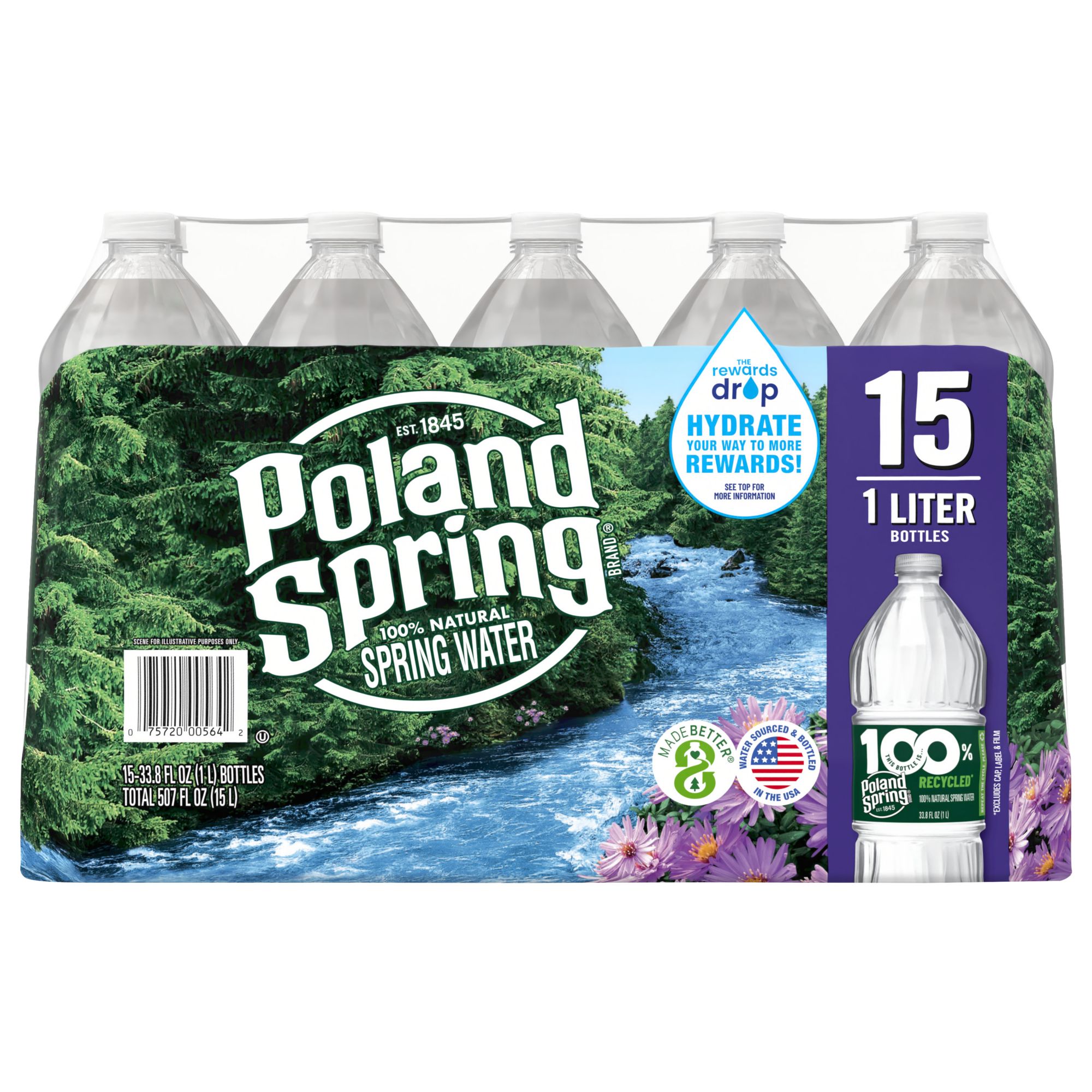 Poland Spring Spring Water, 100% Natural - 12 pack, 16.9 fl oz