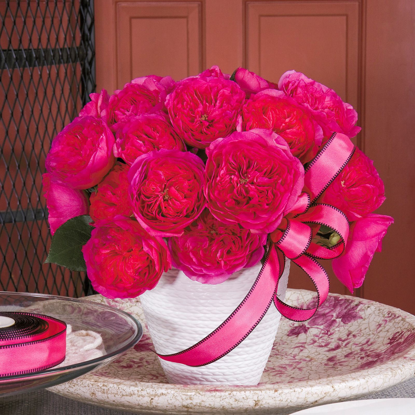 Hot Pink Garden Roses, 36 Stems