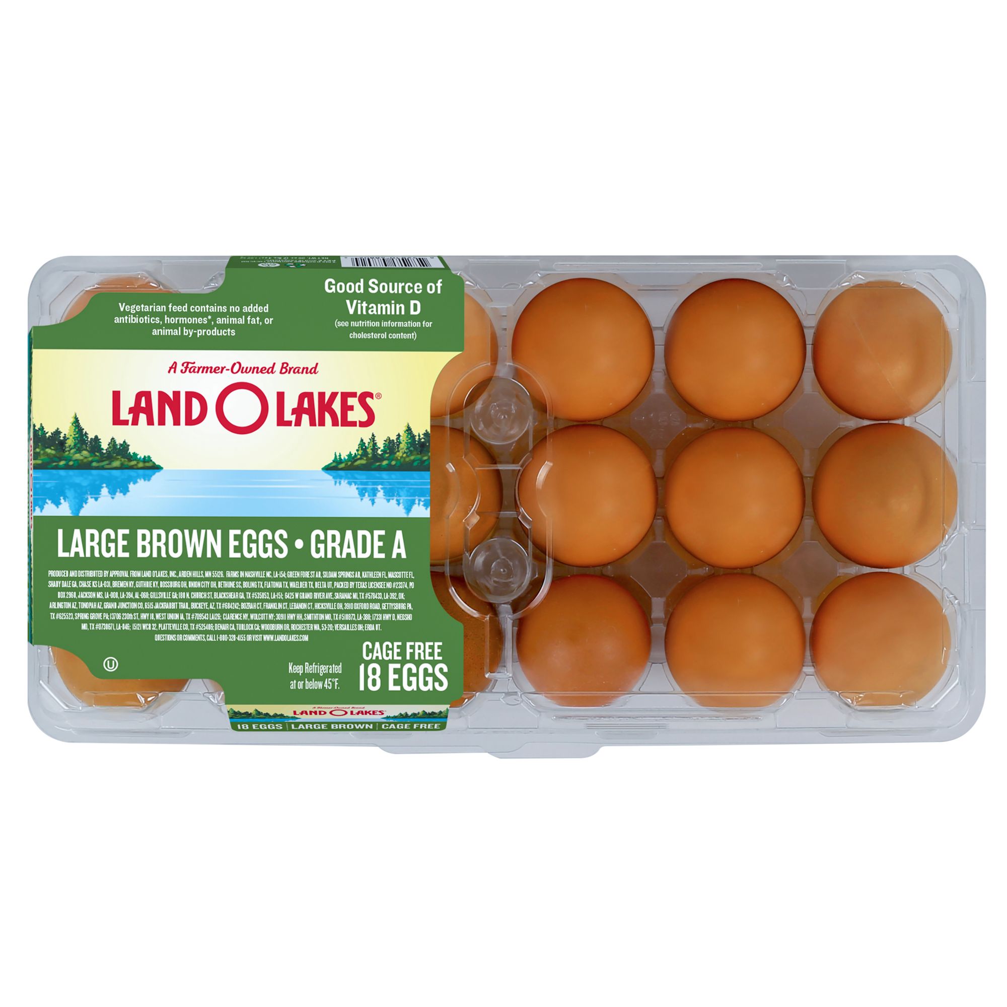 Large Brown Eggs