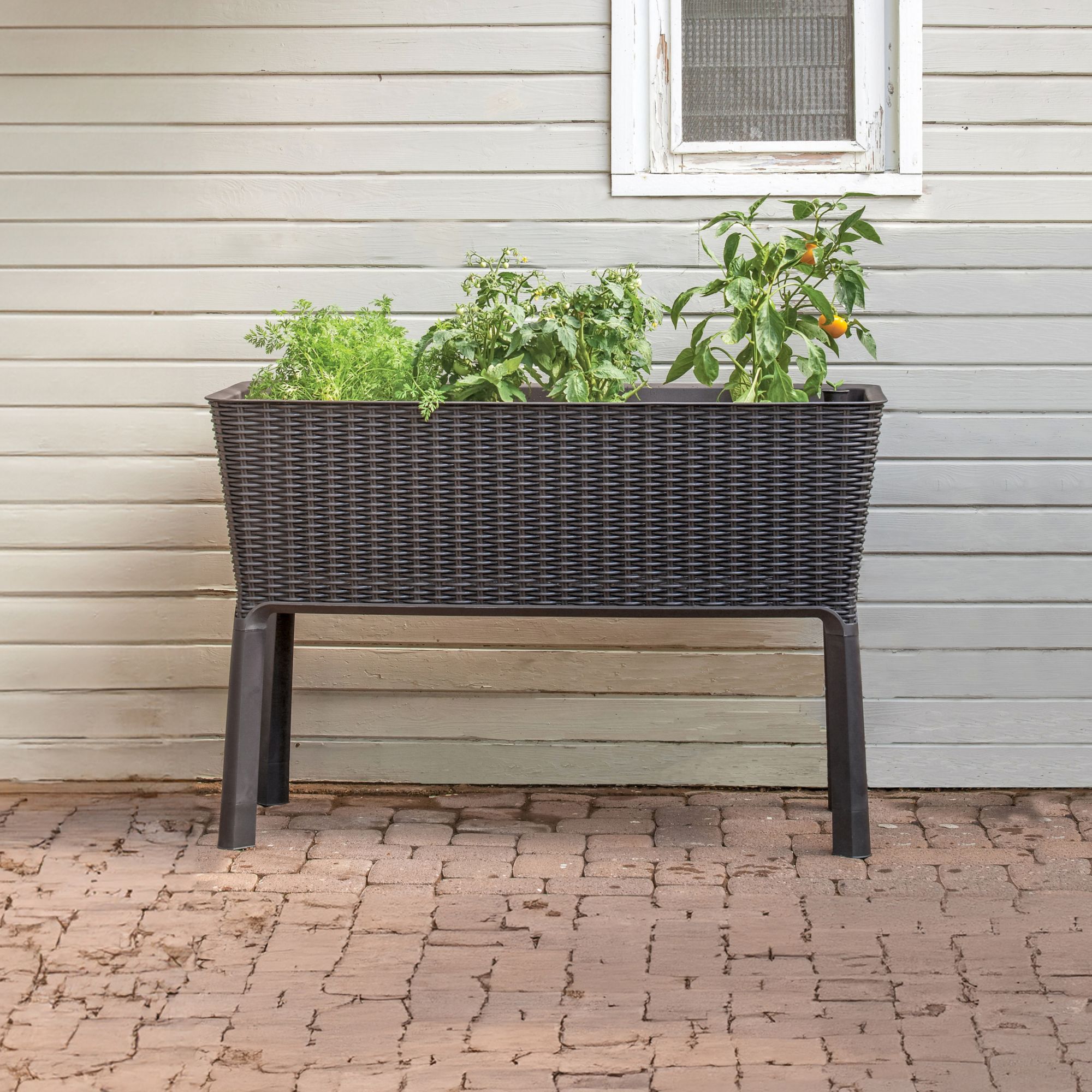 Keter Easy-Grow Raised Garden Bed | BJ's Wholesale Club