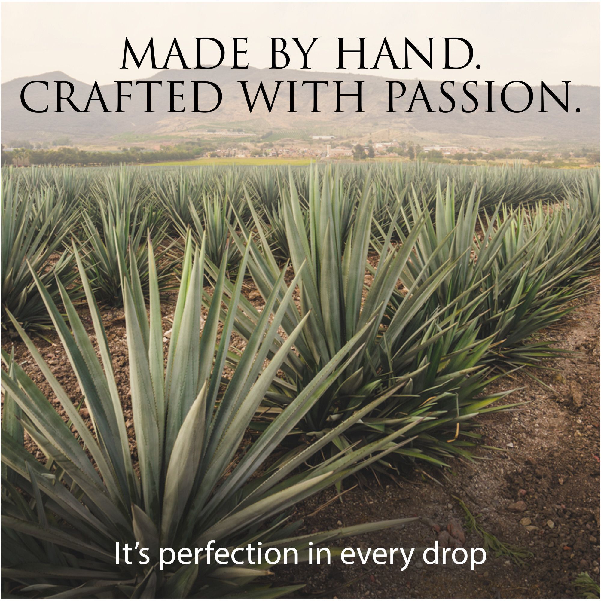 Patron Tequila Silver, 750ml