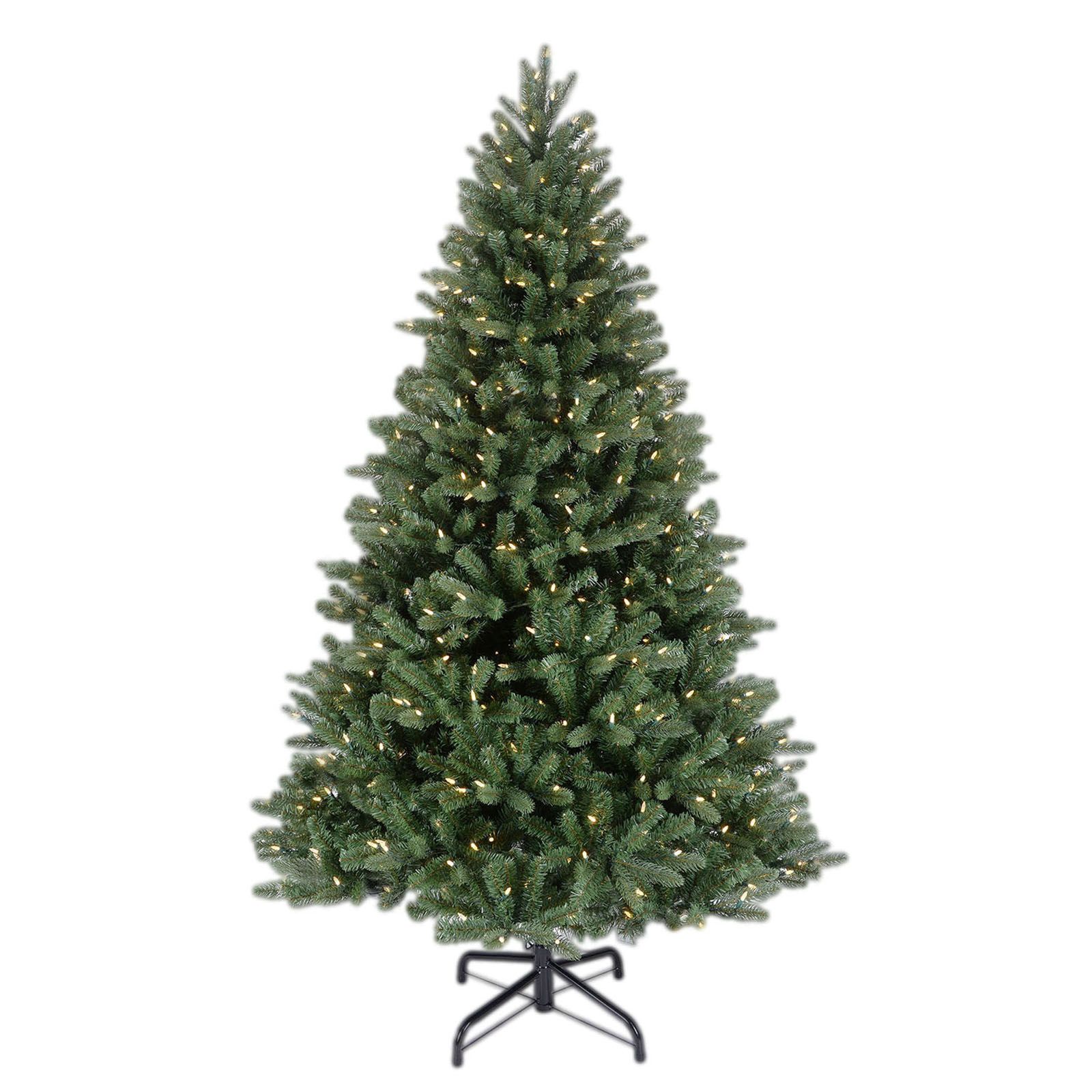 Frasier Fir – Jackson Square