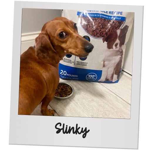 Slinky