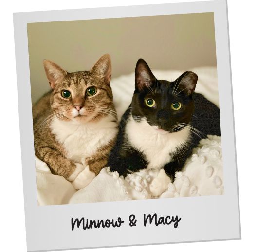 Minnow & Macy