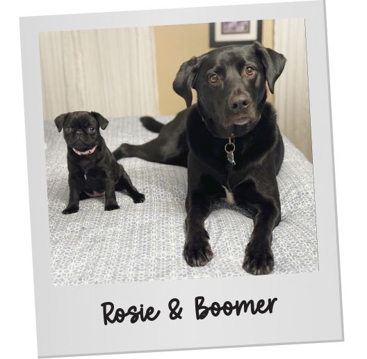 Rosie & Boomer