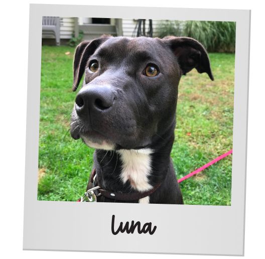 Luna