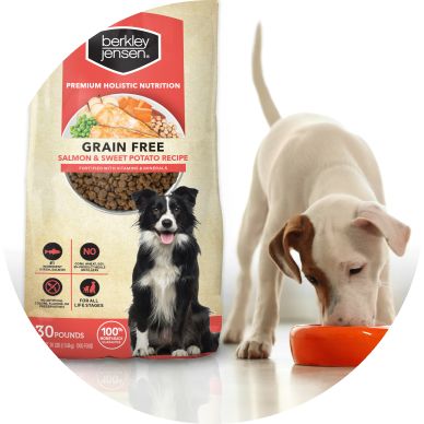 Bjs grain free dog 2024 food