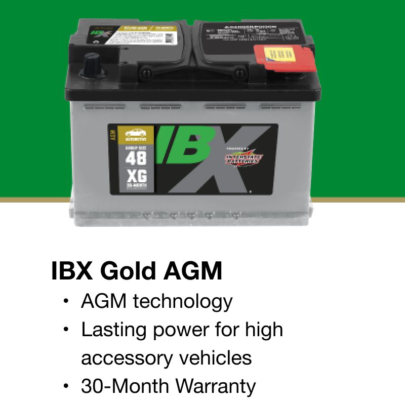 IBX GOLD AGM