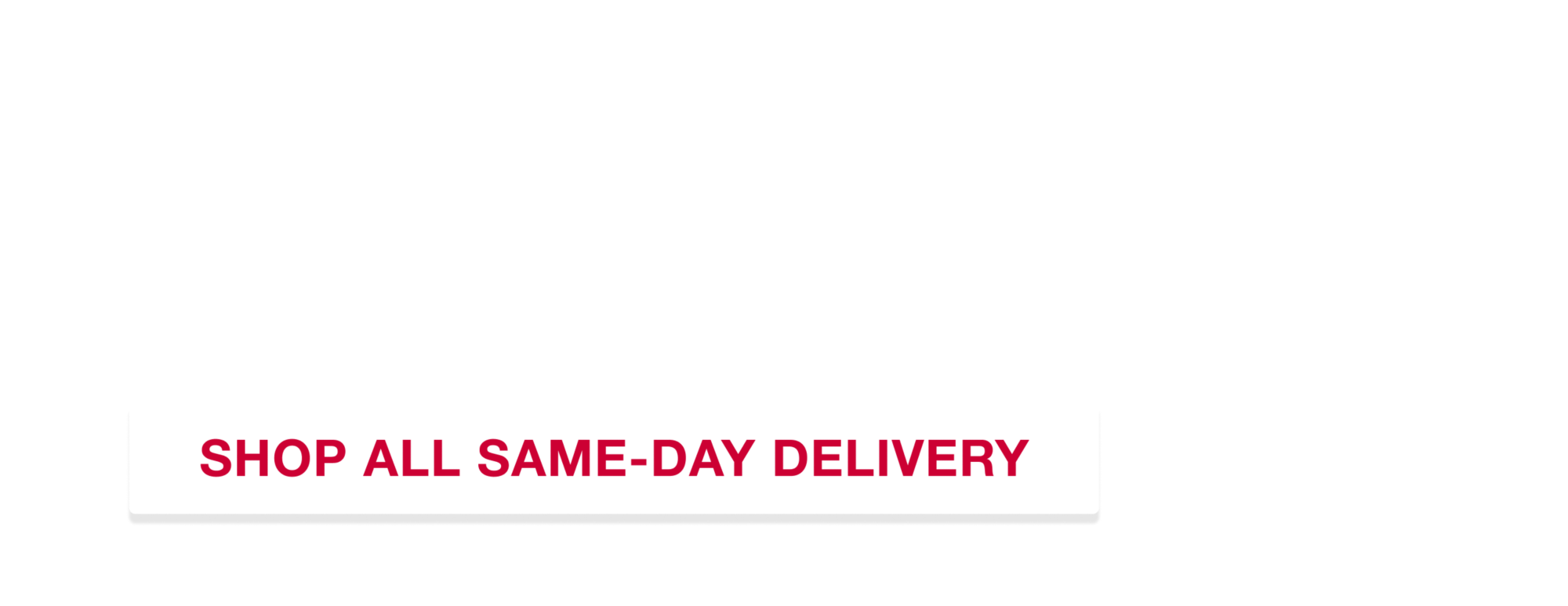 This is everything you need,  delivered same-day. Available on select items. Terms apply.