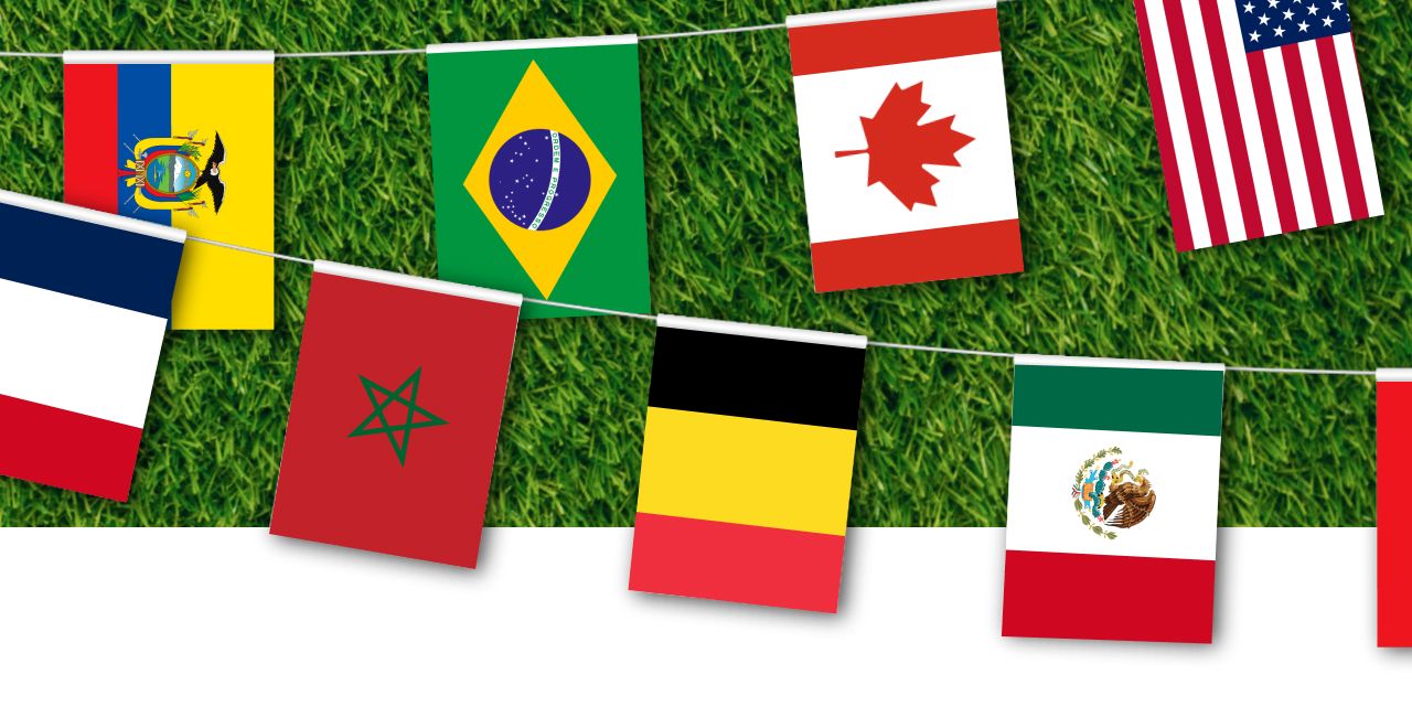 Game Day Flags