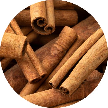 Cinnamon