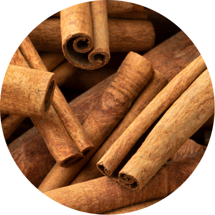 Cinnamon