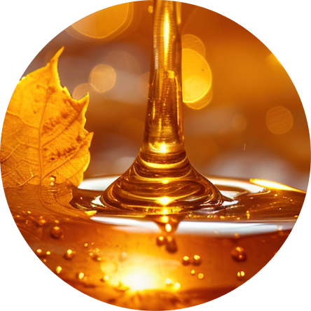Maple