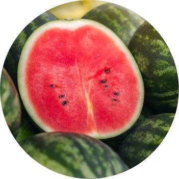 Melon