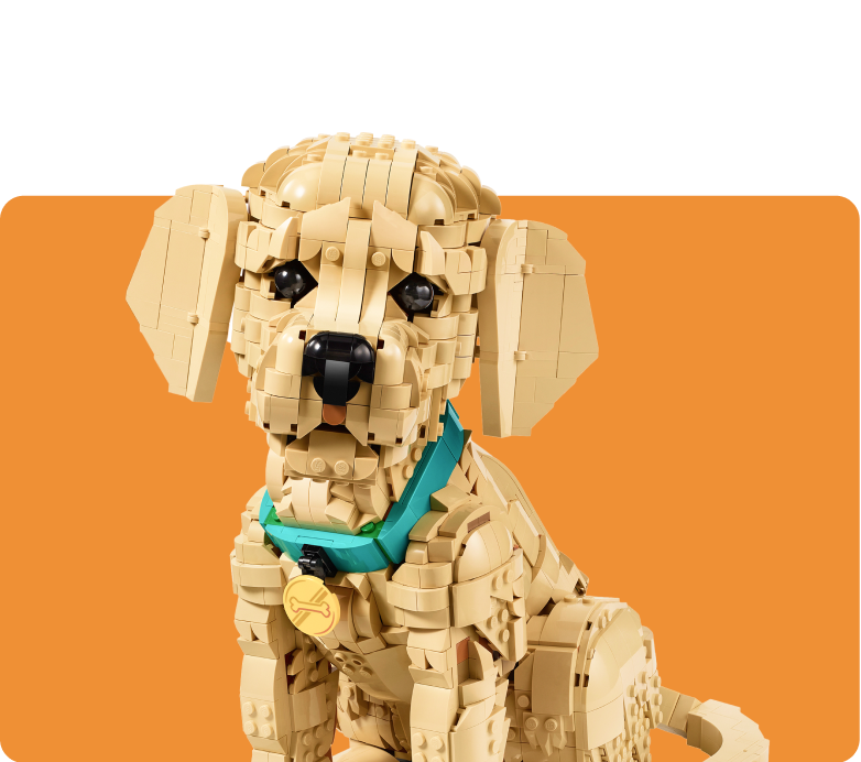 Blocks & Building Sets