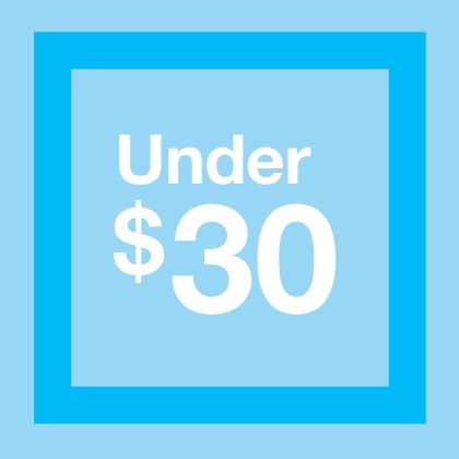 Toys Under $30