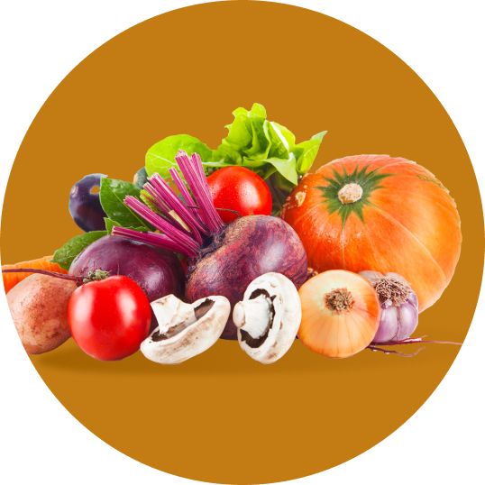 Thanksgiving Grocery