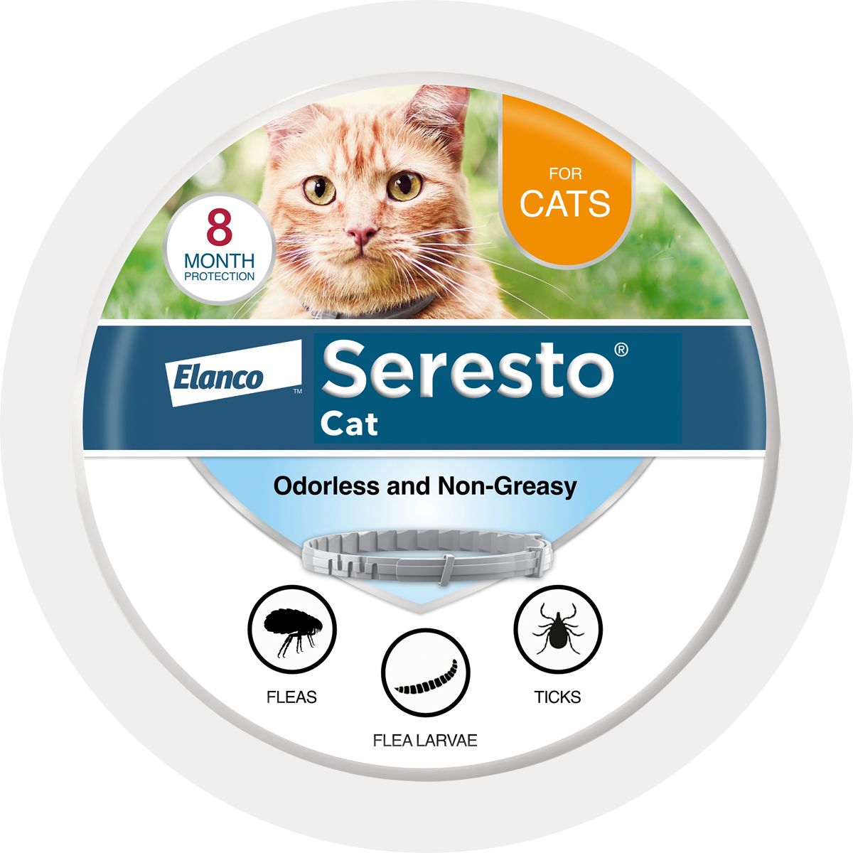 Cat Health