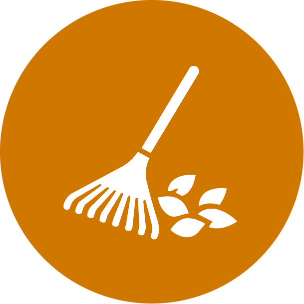 Outdoor Cleanup & Storage
