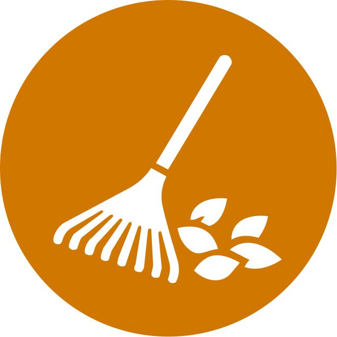 Outdoor Cleanup
