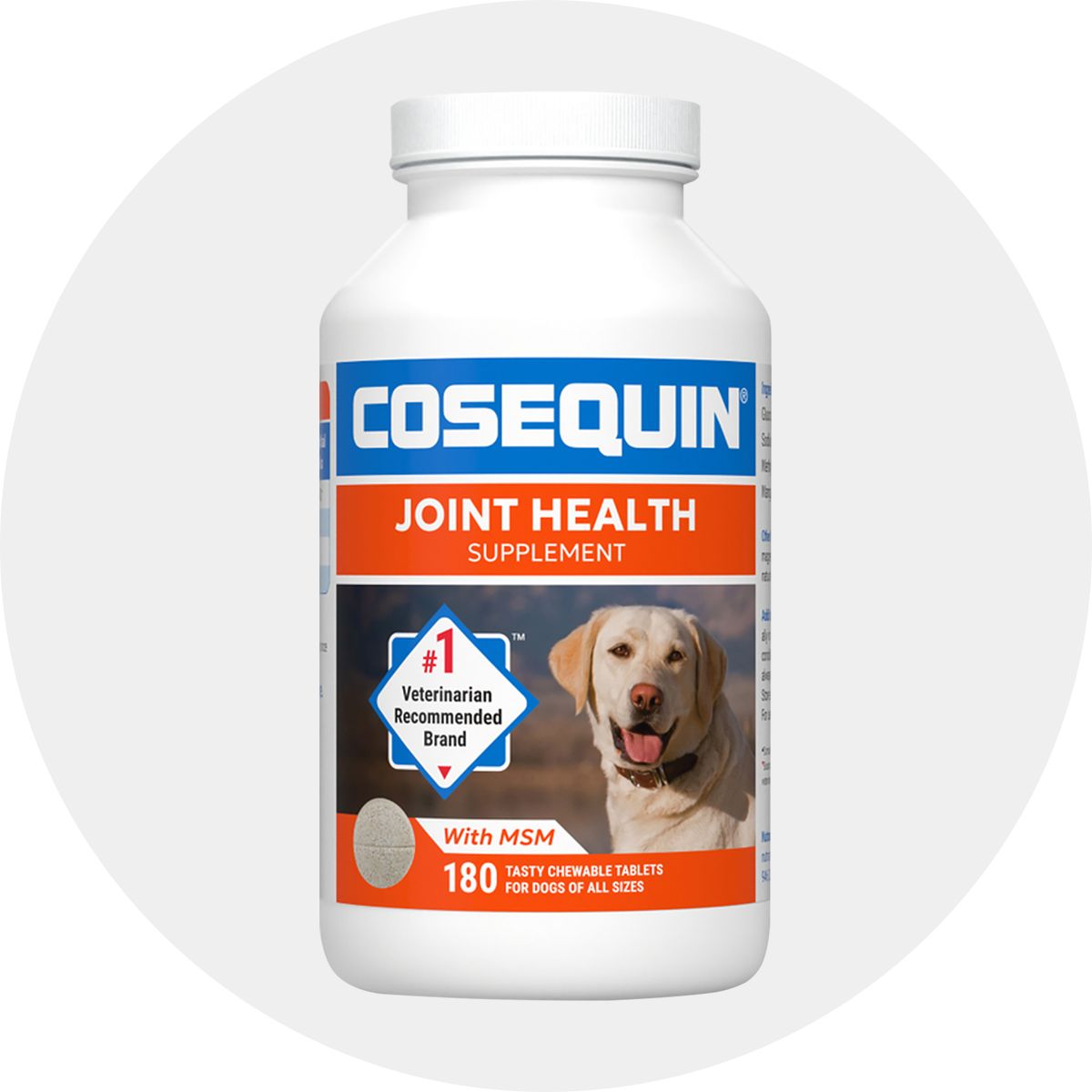 Dog Health