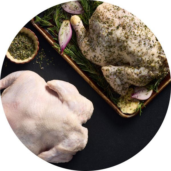 Chicken & Poultry