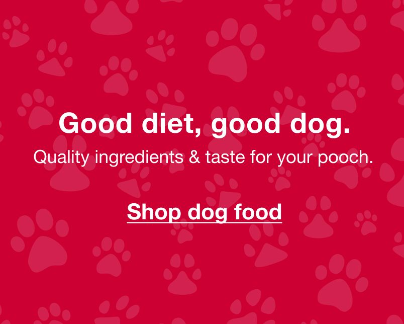 Good diet, good dog. Quality ingredients and taste for your pooch. Click to shop dog food 