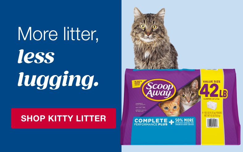 Kitty Litter