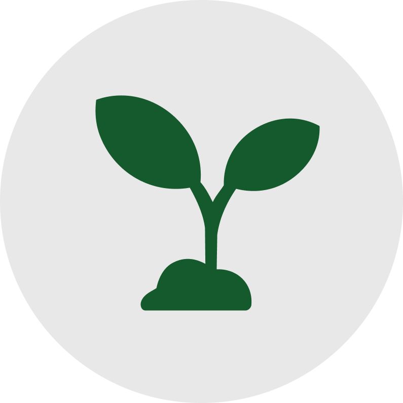 Plant-Based Shop