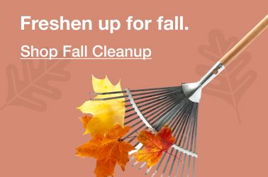 Freshen up for fall. Click to shop fall cleanup