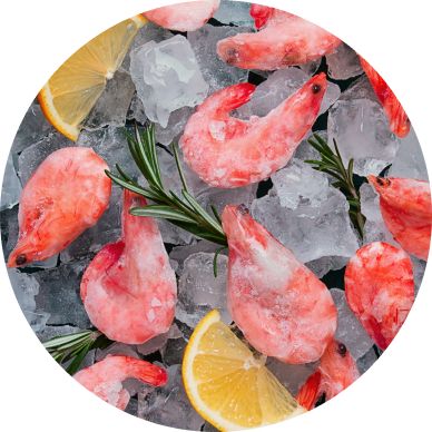 Frozen Seafood