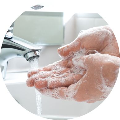 Hand Sanitizer & Soap