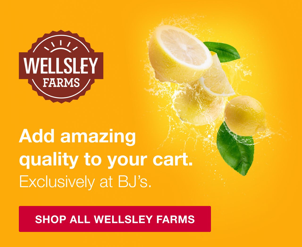 Shop all Wellsley Farms