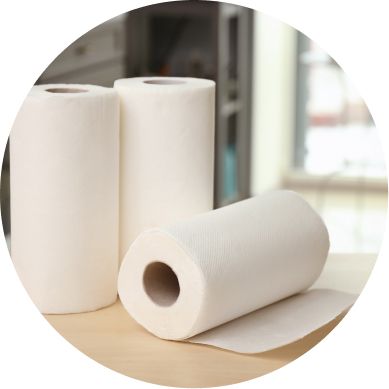 Reel Sustainable Toilet Paper (12 Mega Rolls) only $5.79 at Target!