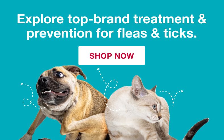 Explore top-brand treatment & prevention for fleas & ticks.