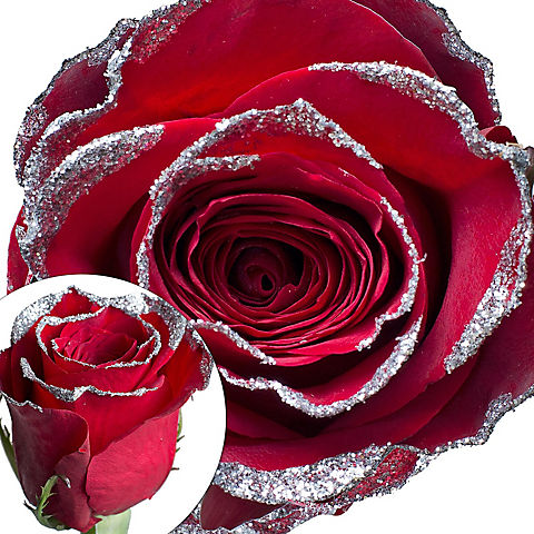 Red Silver Glitter Rose