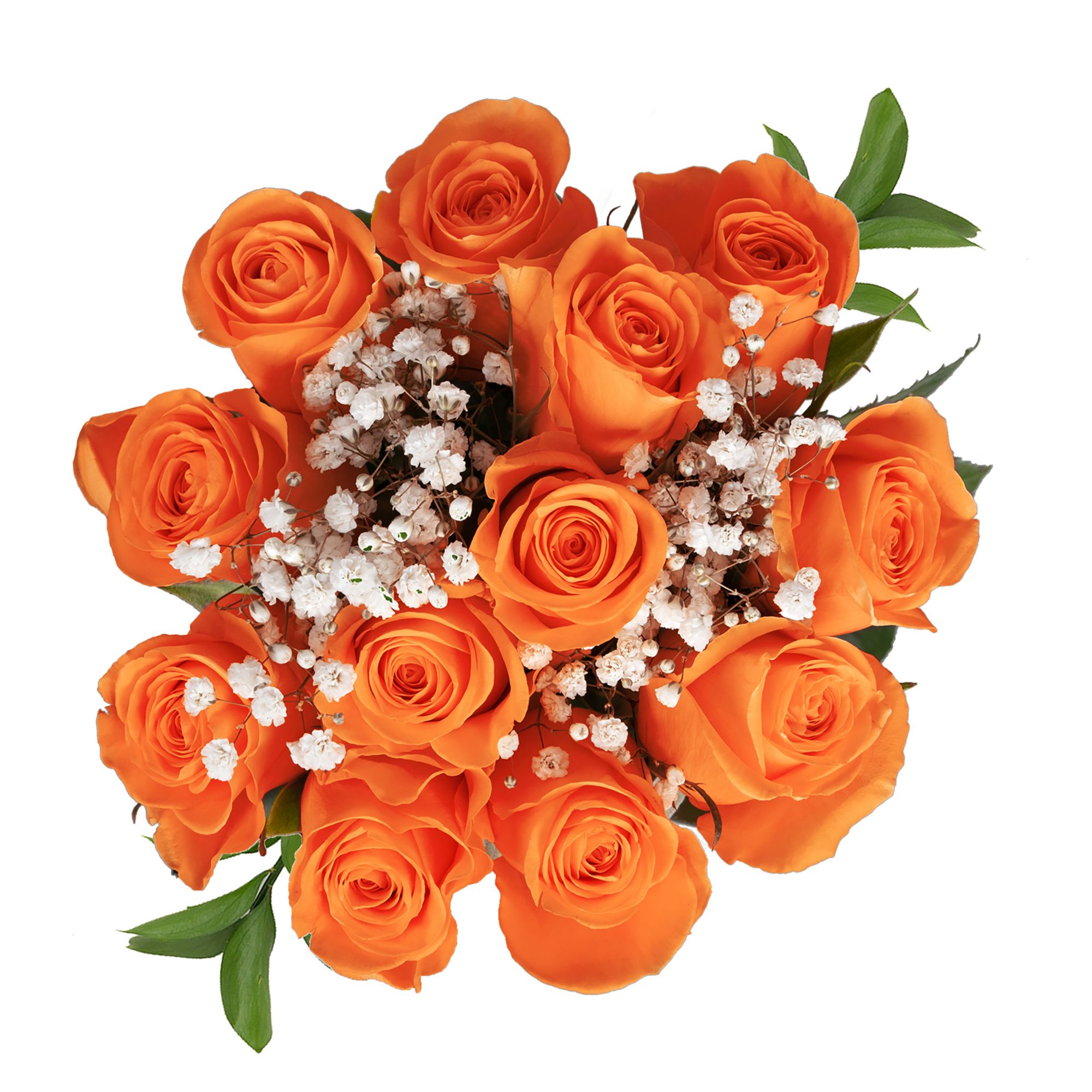 Orange Roses (25 Stems per Bunch)