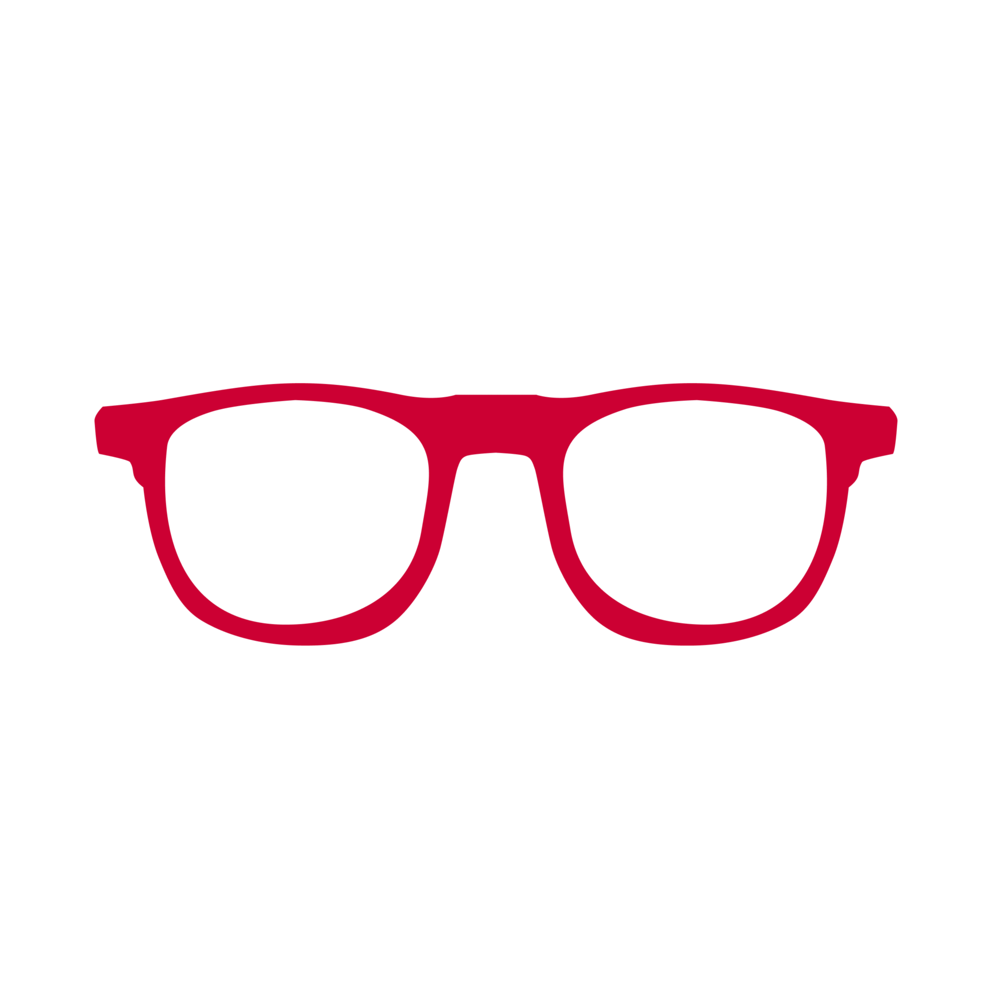 BJ's Optical