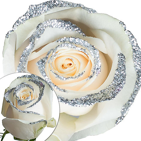 White Silver Glitter Roses