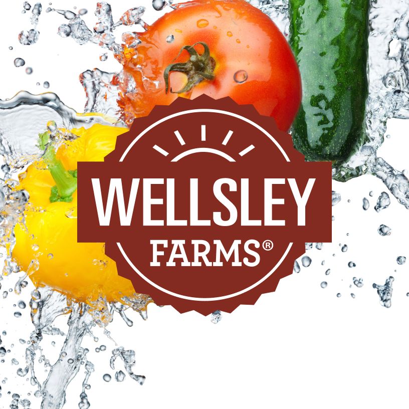 Shop Wellsley Farms