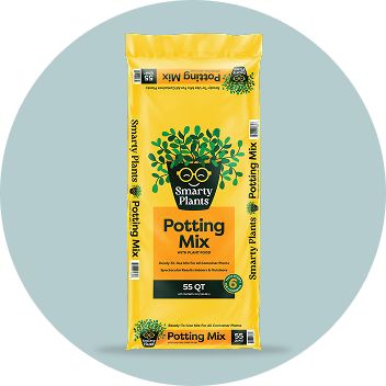 Picture: MiracleGro potting mix bag on a white background