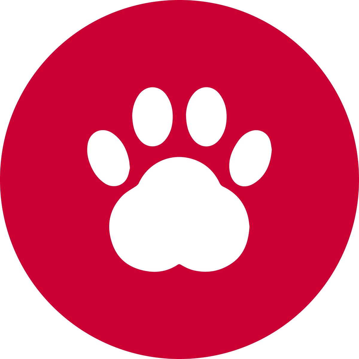 Pet Deals