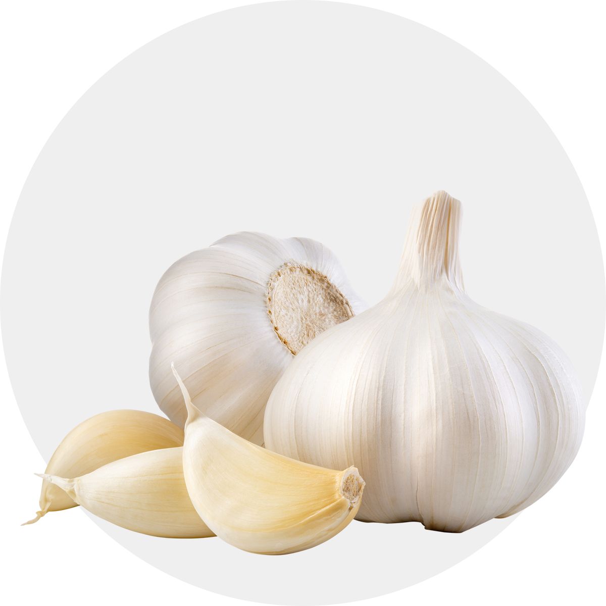 Garlic