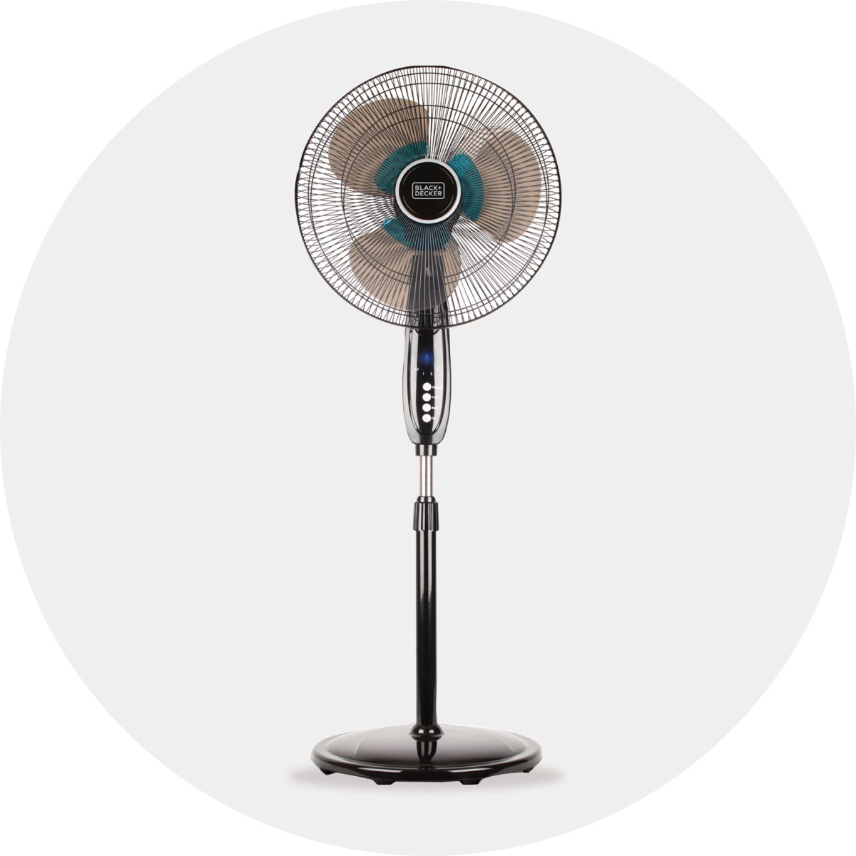 Fans