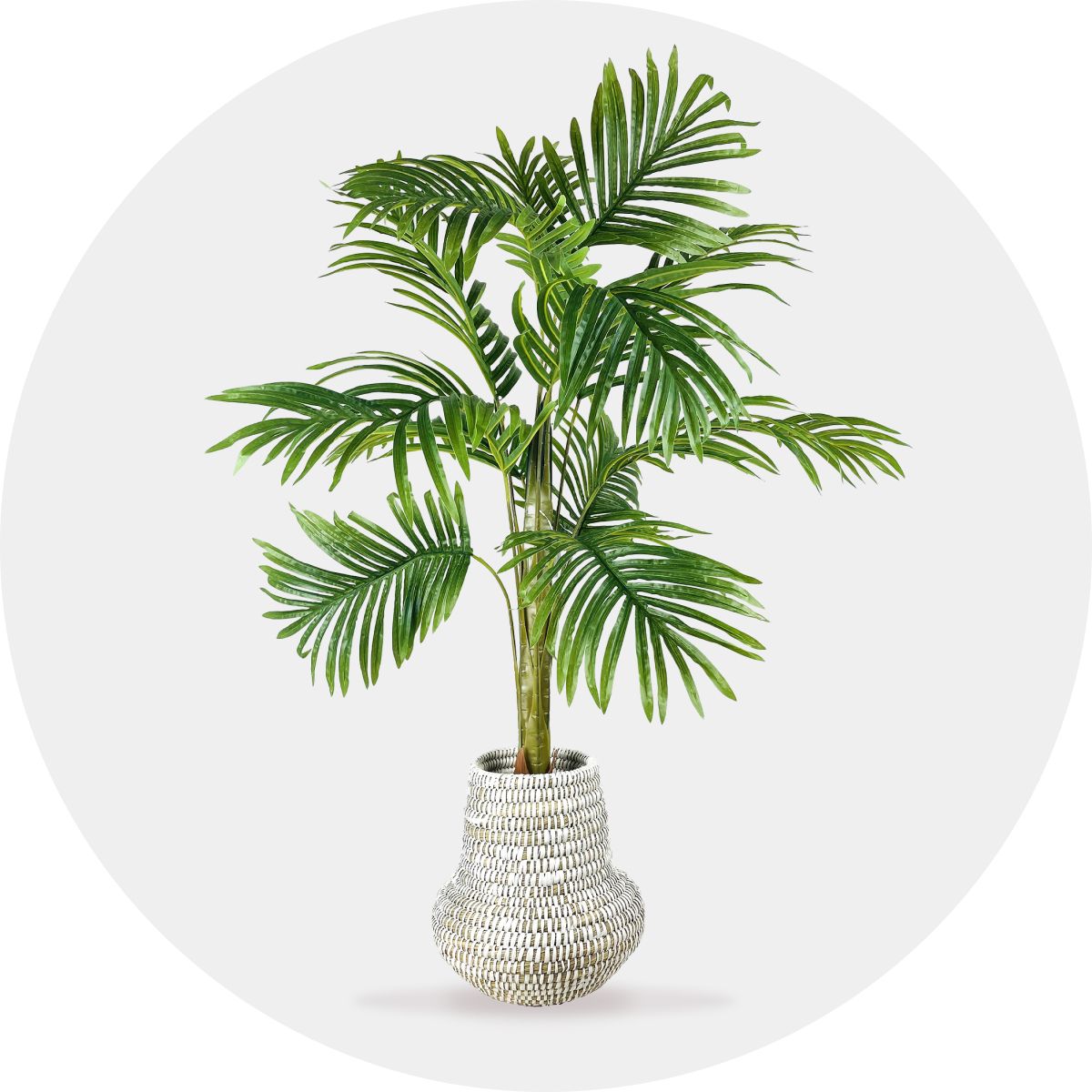 Artificial Plants