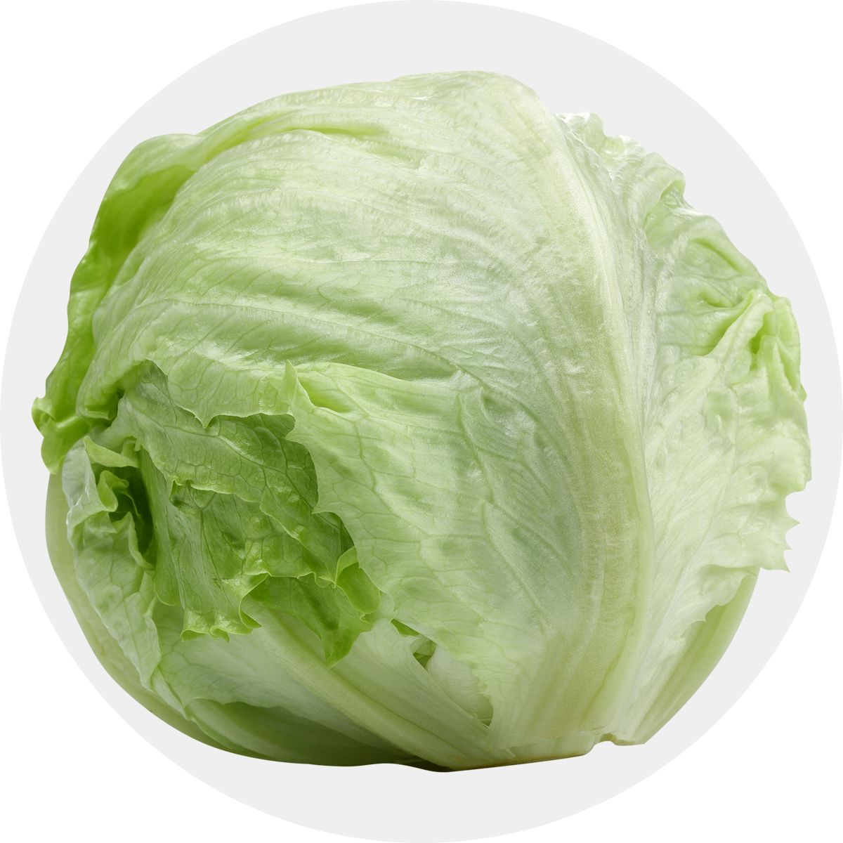 Lettuce