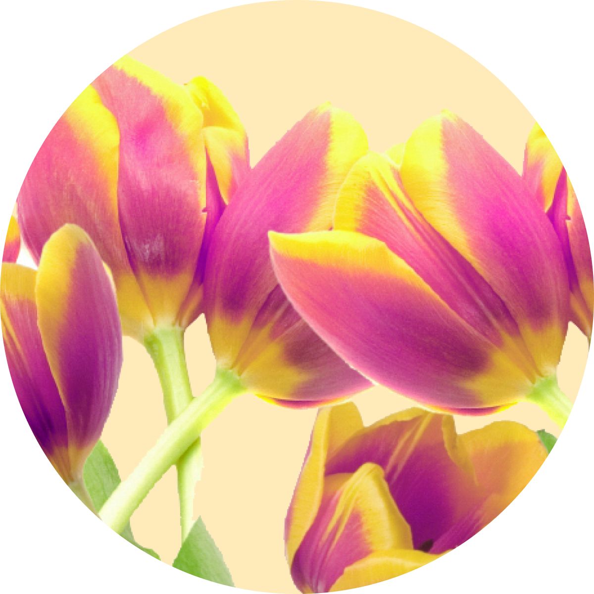 Mother's Day Gifts