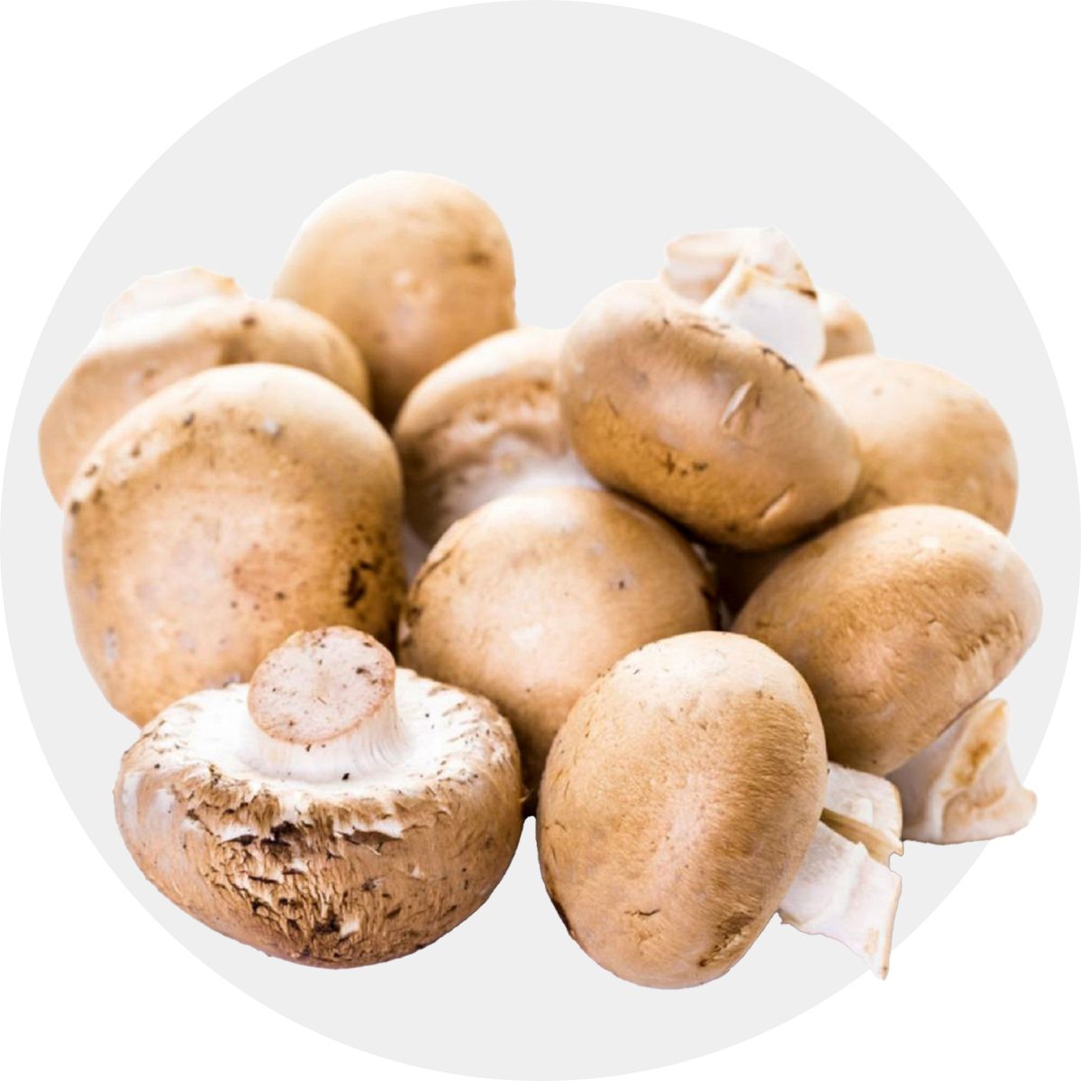 Mushrooms
