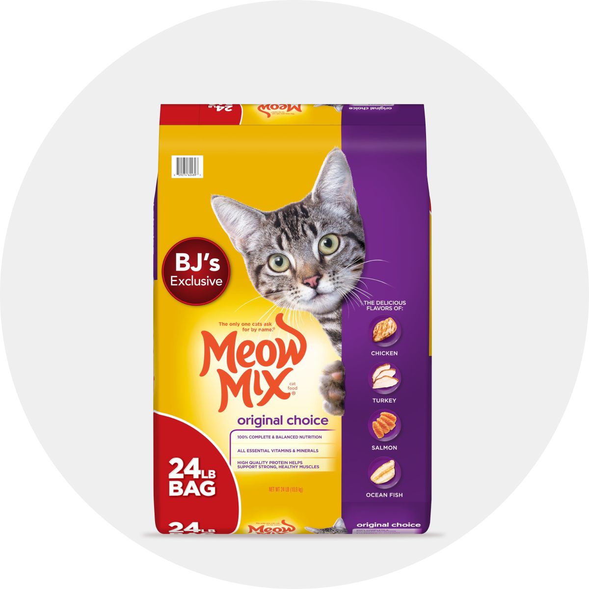 Dry Cat Food