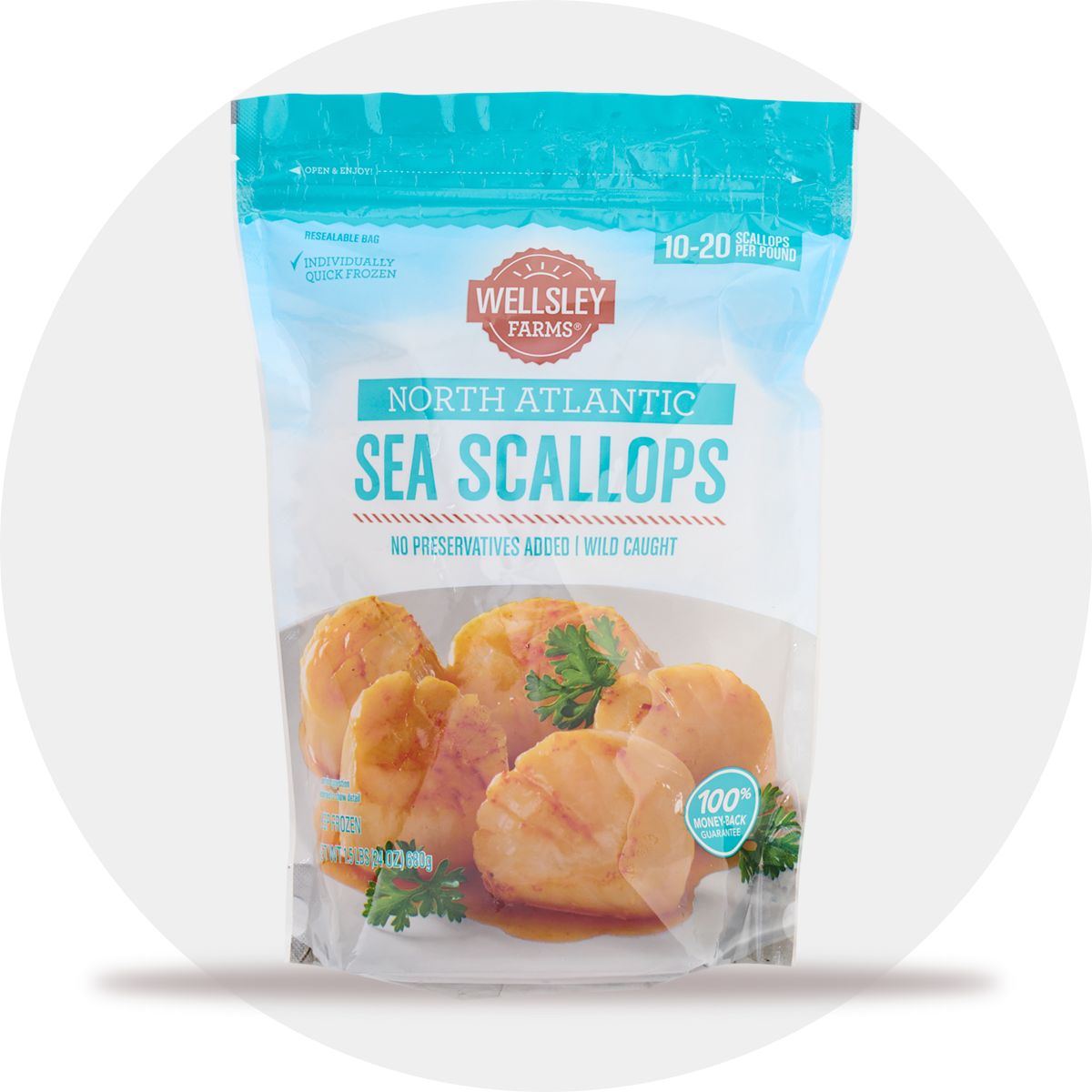 Scallops